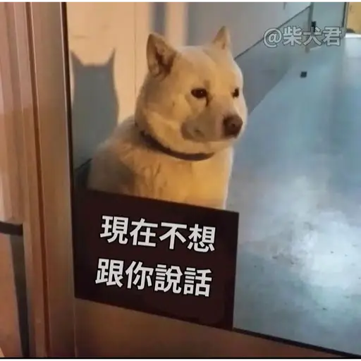 柴犬君 1 - Download Stickers from Sigstick