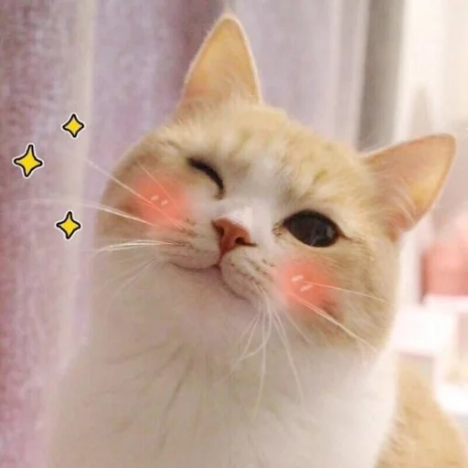 Meow (=ↀωↀ=)✧ (@ElesiS_JC) - Download Stickers from Sigstick