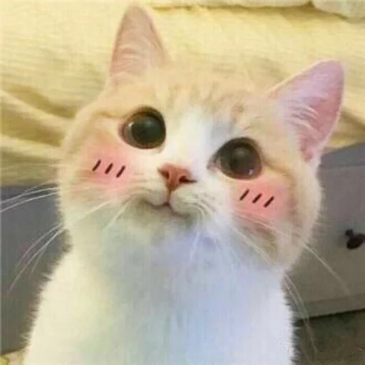 Meow (=ↀωↀ=)✧ (@ElesiS_JC) - Download Stickers from Sigstick